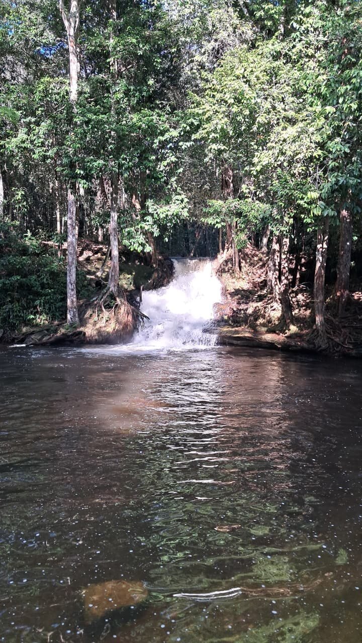 Corredeira entre &aacute;rvores em Presidente Figueiredo