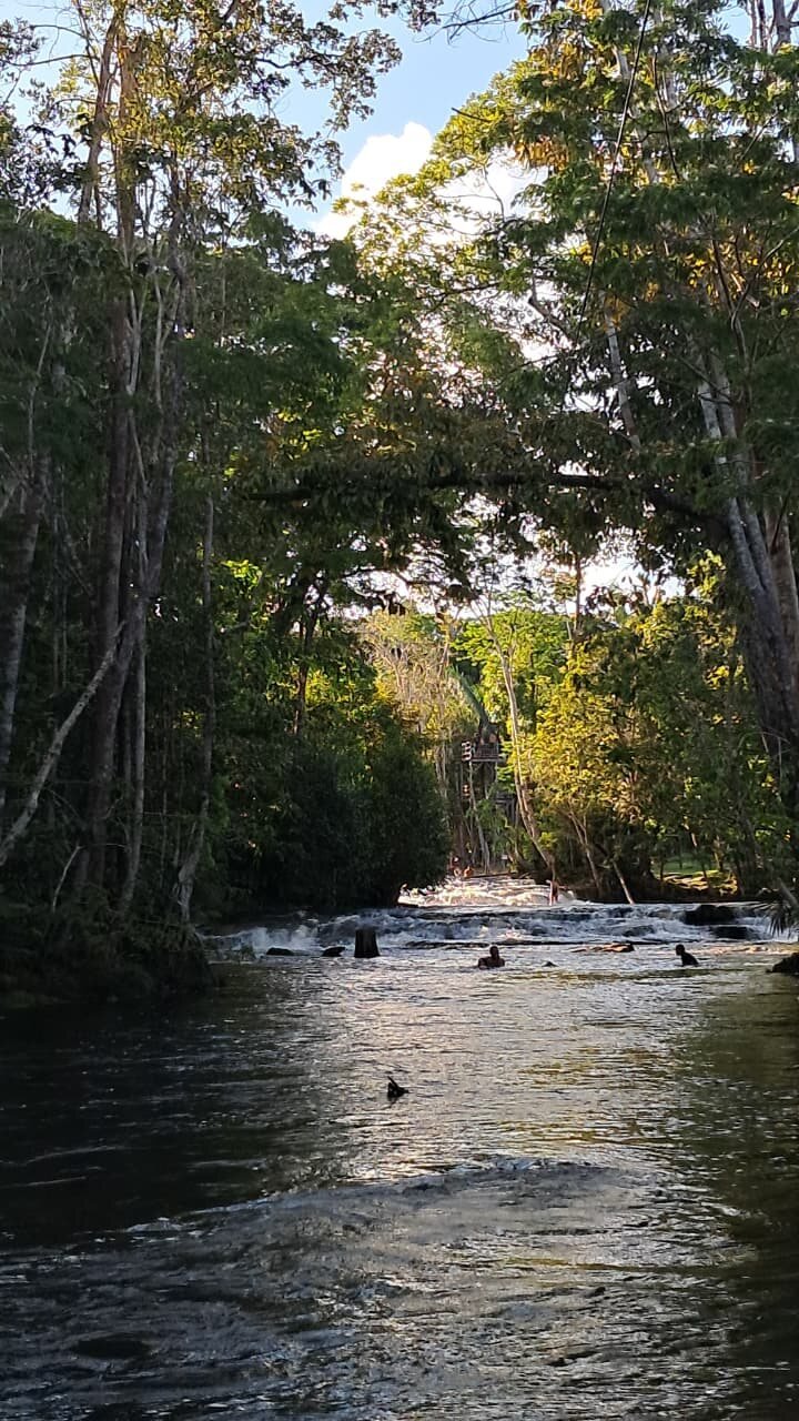 Cachoeira em uma clareira da floresta